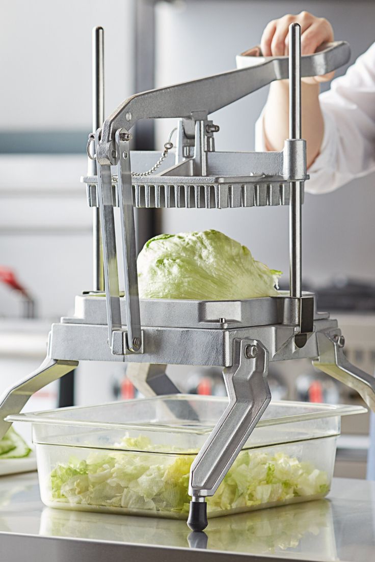 vegetable cutter machine manufacturer in india