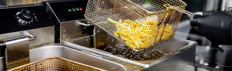 deep fat fryer manufacturer in india