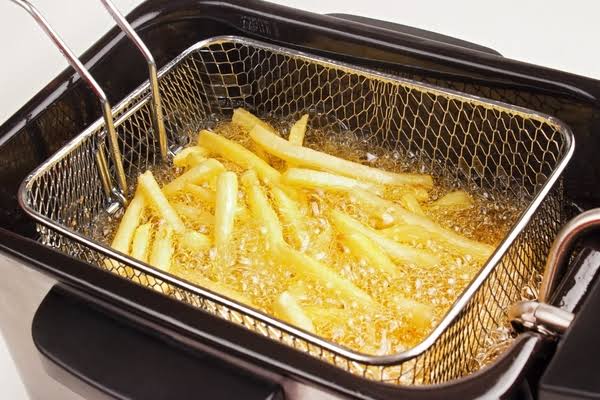 deep fat fryer manufacturer in india