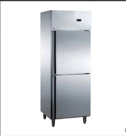 upright two and four door vertical refrigerator manufacturer in india