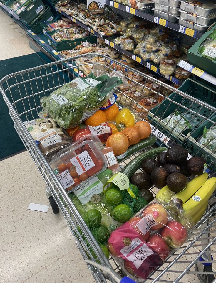 vegetable collecting trolley manufacturer in india