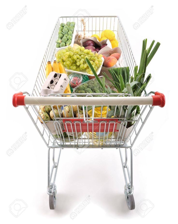 vegetable collecting trolley manufacturer in india